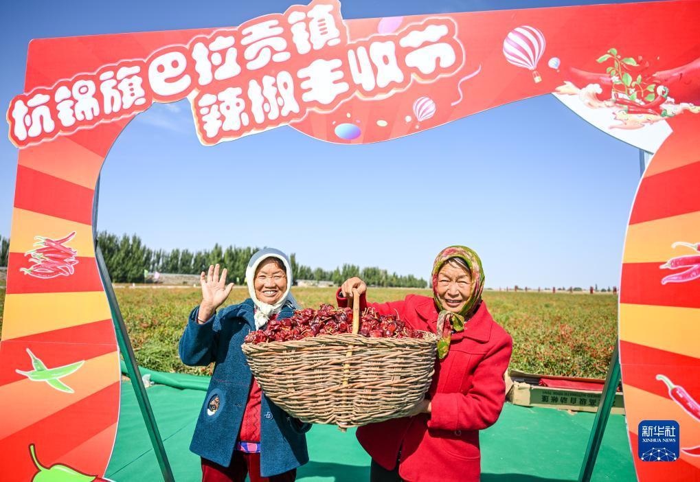 大赢家app官网